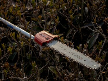 Sicherer Baumschnitt mit Teleskop-Kettensägen