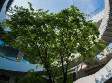Kreislaufwirtschaft braucht verlässliche Qualitätsstandards