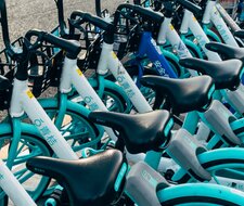 Shared Mobility