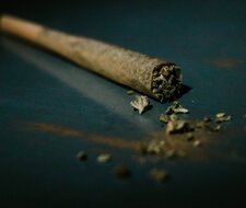 TÜV-Verband warnt vor Folgen des Cannabiskonsums im Straßenverkehr