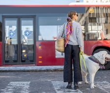 TÜV-Datenreport 2025: Mehr Bus- und Lkw-Prüfungen