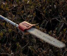 Sicherer Baumschnitt mit Teleskop-Kettensägen Sicherer Baumschnitt mit Teleskop-Kettensägen