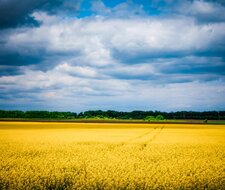 Ukraine war drives sustainability efforts of companies 
