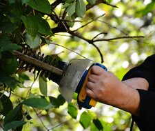 Gartenarbeit im Herbst: Sicher schneiden, häckseln und schreddern