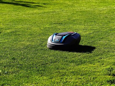 kleiner, schwarzer Rasenmäher-Roboter fährt über grünen Rasen