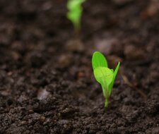 Business associations warn of bottlenecks and high costs when assessing sustainability reports 