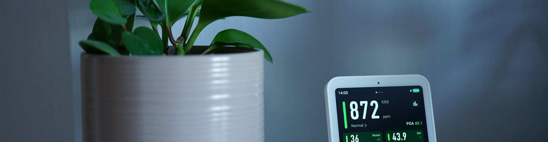 Digitale Tools für Umwelt- und Klimaschutz weit verbreitet