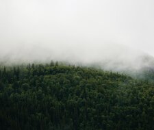 Konsequentes Handeln beim Klimaschutz notwendig