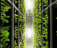 Energiebedarf Künstlicher Intelligenz wächst rasant 