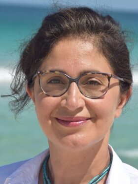 Sheila Beladinejad, Principal Consultant (Independent) Women in AI & Robotics Germany e.V.