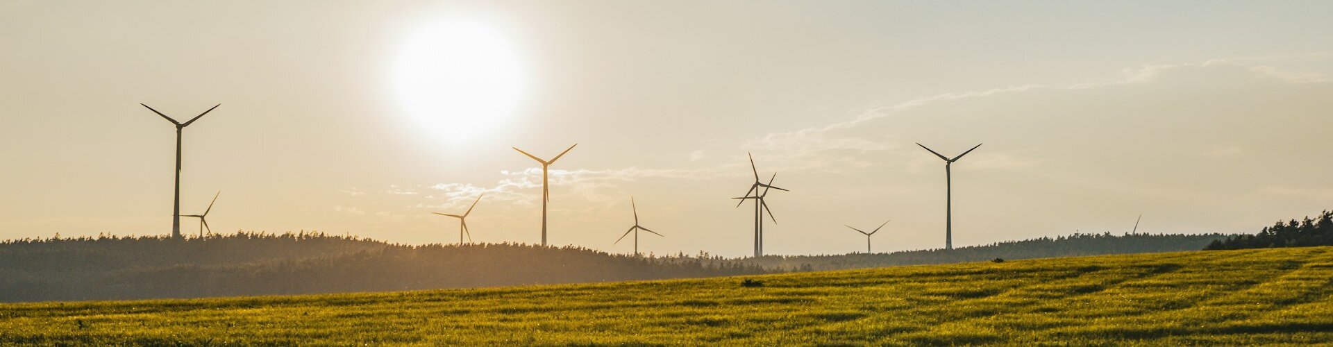 CSRD-Umsetzung: TÜV-Verband warnt vor Wirtschaftsprüfer-Monopol