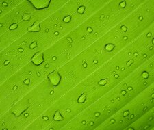 TÜV-Verband: Vertrauen in grünen Wasserstoff schaffen 
