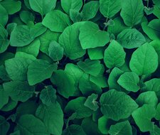 EU Omnibus Package on Sustainability step in the right direction – but do not lose sight of its objectives