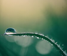 Der Wasserstofftechnologie zum Durchbruch verhelfen