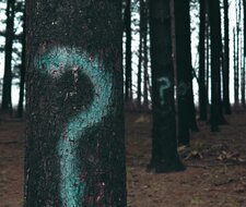 TÜV FAQs