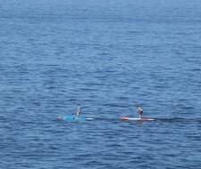 TÜV-Verband: Tipps für den Kauf eines geeigneten Stand-Up-Paddle-Boards