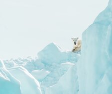 Climate protection