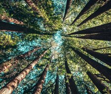 TÜV-Verband zu den neuen Klimazielen der EU-Kommission