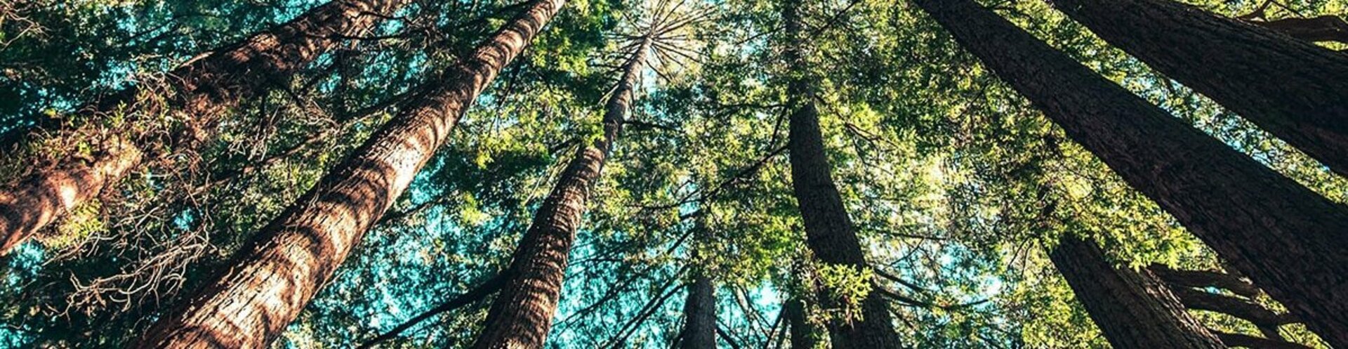 TÜV-Verband zu den neuen Klimazielen der EU-Kommission