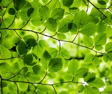 TÜV MeetUp Spezial &quot;Sustainable Finance und CSRD&quot;