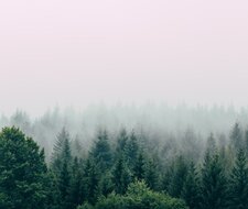 TÜV-Verband legt Positionspapier zum Klimaschutz vor TÜV-Verband legt Positionspapier zum Klimaschutz vor
