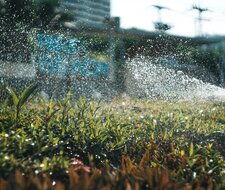 Smarter Garten: Gartengeräte sicher vernetzt nutzen 