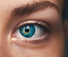 KI-Studie: Verbraucher:innen wollen Sicherheit und Transparenz bei Künstlicher Intelligenz