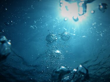 Luftblasen steigen unter Wasser in Richtung Sonne