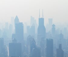 Environment