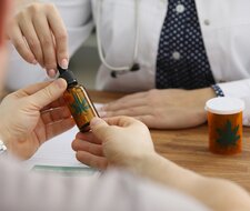 TÜV-Verband warnt vor Sicherheitsrisiko durch Missbrauch von Medizinalcannabis