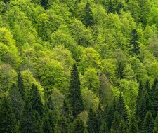 Sustainability