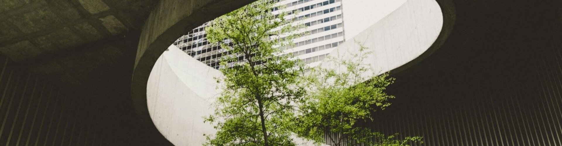 Treppenaufgang aus Beton, der einen Baum umschließt, der in eine von Licht durchflutete Öffnung geht