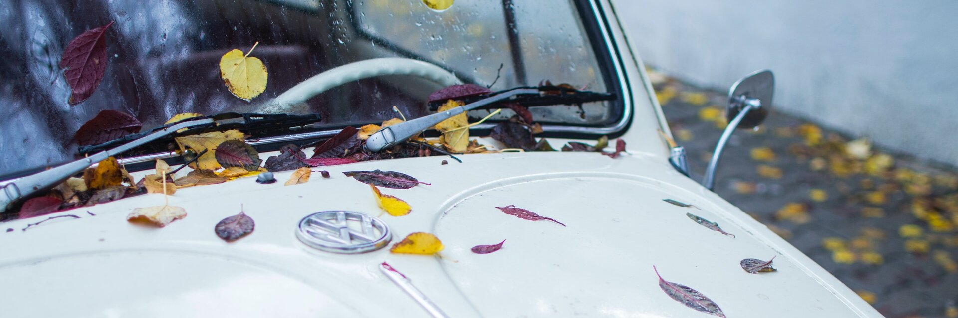 Herbstzeit: Das müssen Autofahrer jetzt beachten