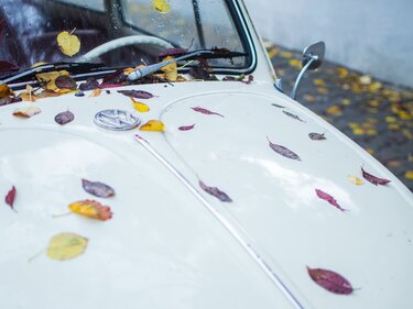 Herbstzeit: Das müssen Autofahrer jetzt beachten