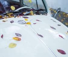 Herbstzeit: Das müssen Autofahrer jetzt beachten Herbstzeit: Das müssen Autofahrer jetzt beachten