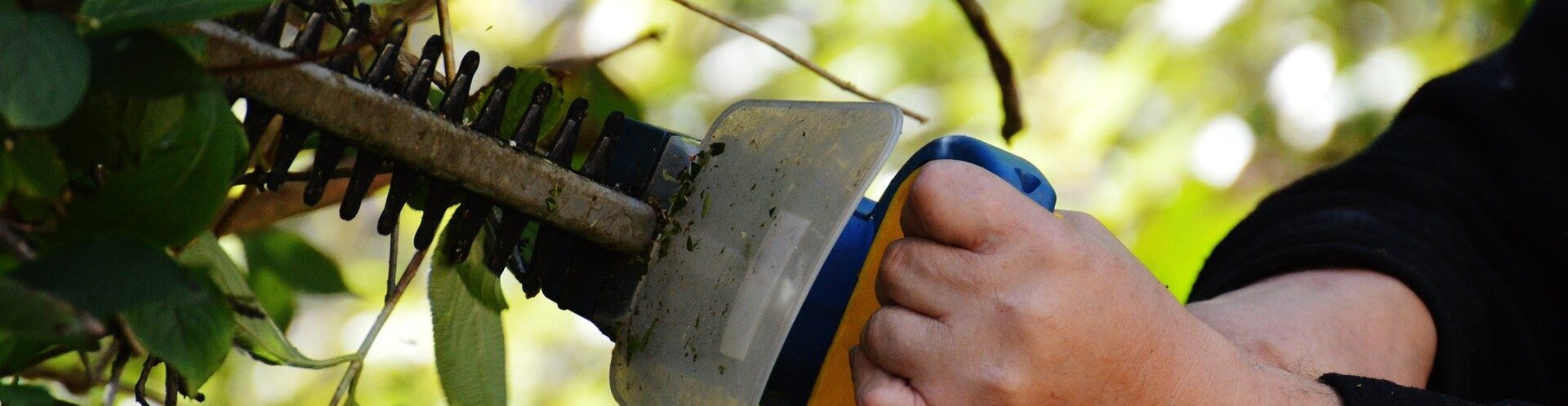 Gartenarbeit im Herbst: Sicher schneiden, häckseln und schreddern Mit einer Heckenschere wird eine Hecke seitlich geschnitten