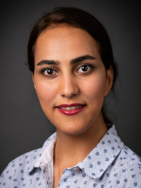 Shabnam Sadegharmaki