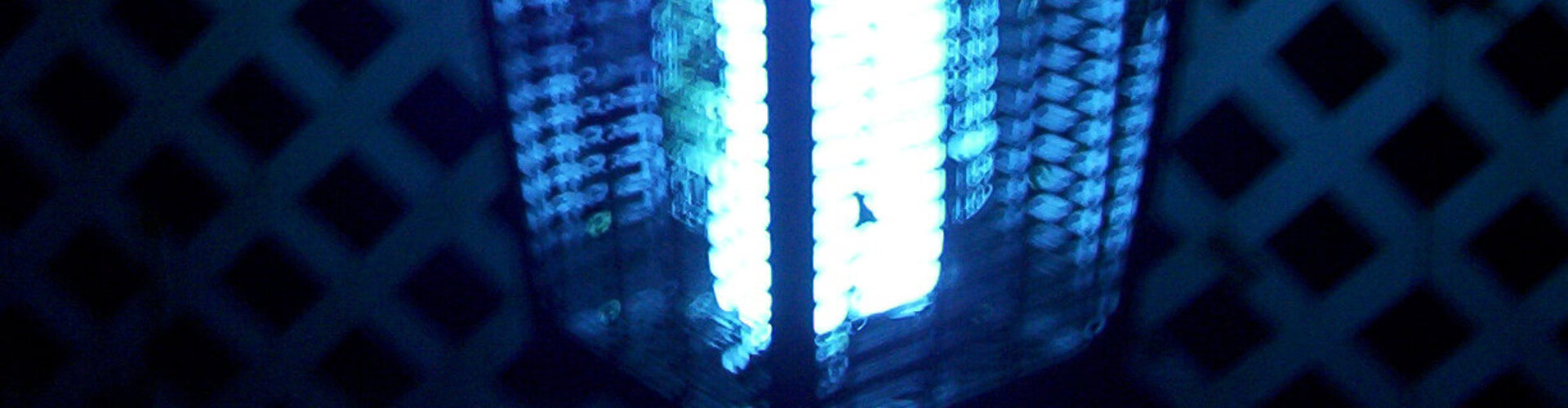 Insektentöter leuchtet in blauem Licht in der Dunkelheit