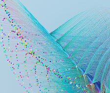 Digitalisierung: die Zukunft der Qualitätsinfrastruktur in Deutschland