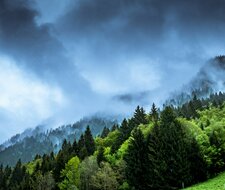 Future government must focus on climate protection