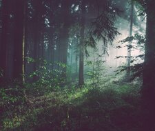 TÜV-Verband zum Klimaschutzpaket der Bundesregierung