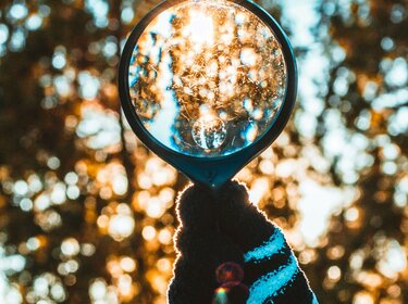 Blick durch eine Lupe in Richtung von sonnenbeschienenen Baumkronen