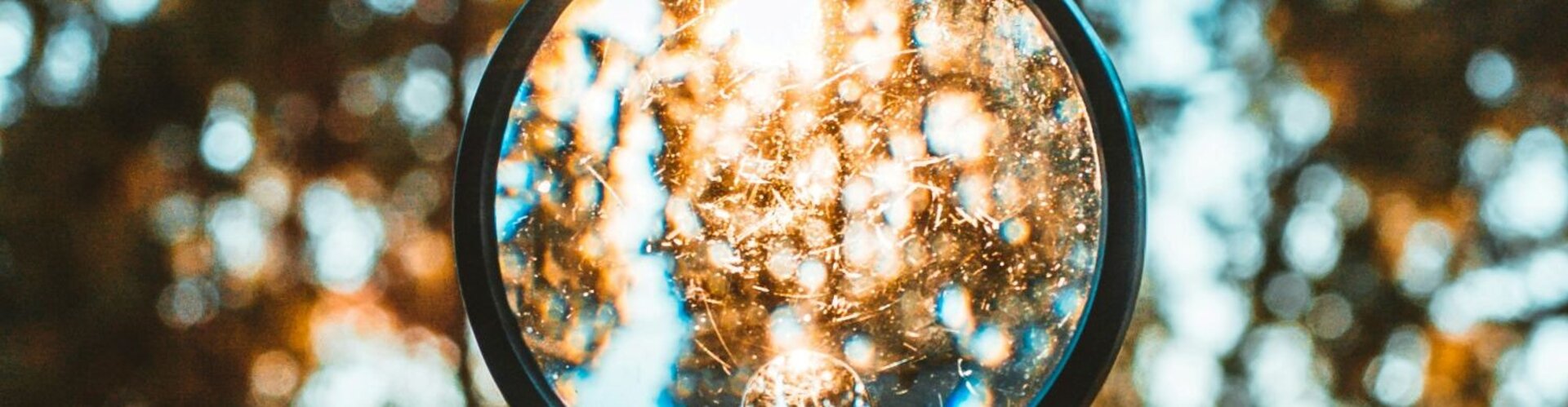 Stellungnahme zum VSME-Standard für KMU Blick durch eine Lupe in Richtung von sonnenbeschienenen Baumkronen