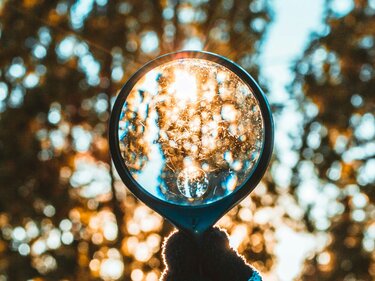 Stellungnahme zum VSME-Standard für KMU Blick durch eine Lupe in Richtung von sonnenbeschienenen Baumkronen