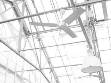 Bei Hitze auf die richtige Kühlung in Arbeitsräumen achten Blick nach oben in die Decke einer Halle, an der Ventilatoren hängen