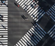 Human
