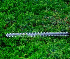 Gartenarbeit im Spätsommer: Sicheres Häckseln von Pflanzenresten und Baumschnitt
