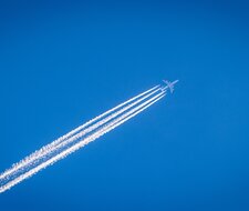 Umfrage: Flugscham führt zu Flugverzicht